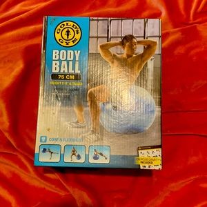 Body ball with exercise chart